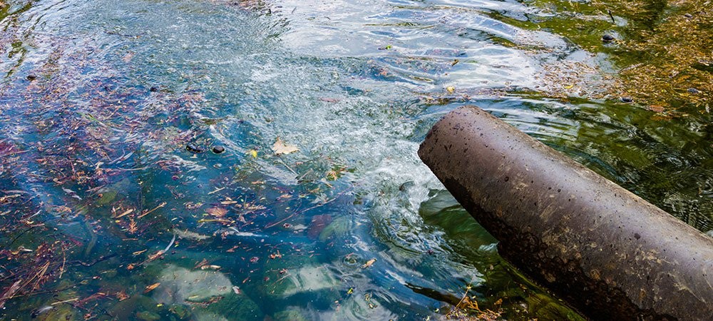 Hà Nội Hàng trăm mẫu ruộng bị bức tử vì nguồn nước ô nhiễm